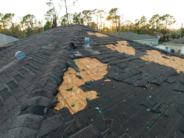 Best Wood Shake Roofing  in Placentia, CA
