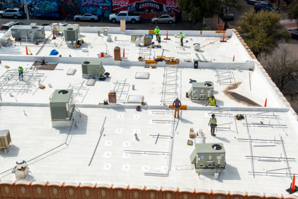 Best Asphalt Shingle Roofing  in Placentia, CA